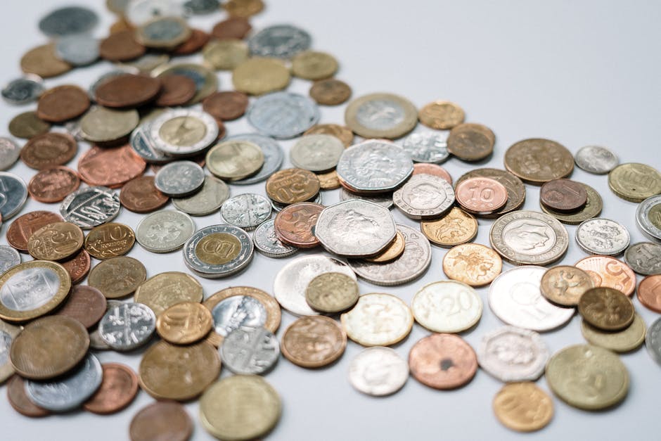 On-The-Ground Activity