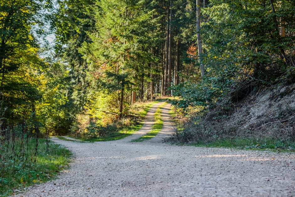 Two Paths: Federal Versus Private Loans