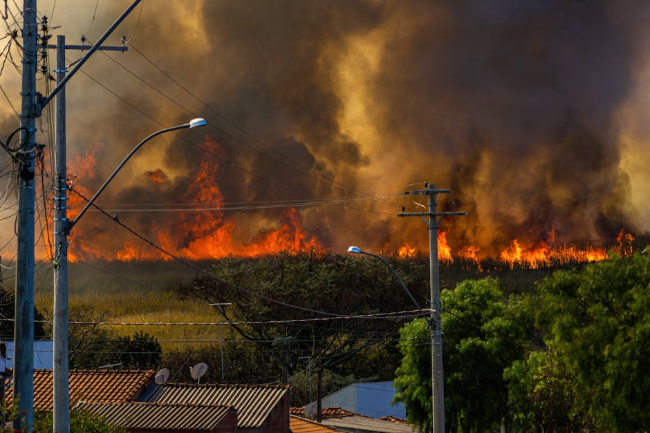 Eight States at Higher Climate Risk: What It Means for Investors