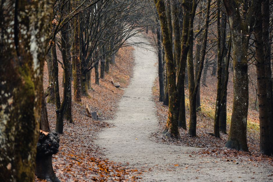 Risks, Opportunities and the Path Forward