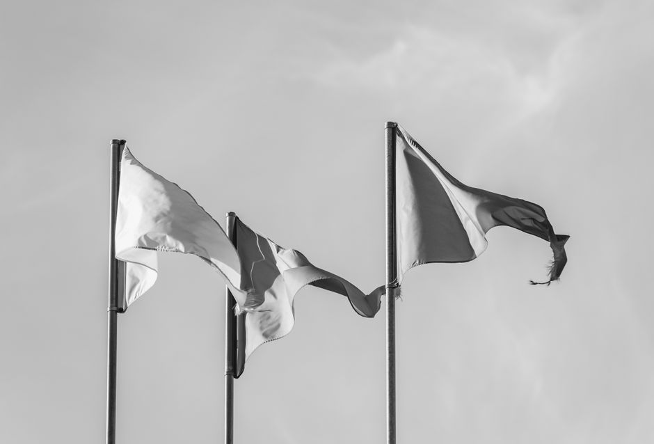 Real-World Red Flags: Spotting a Fake Before It Costs You