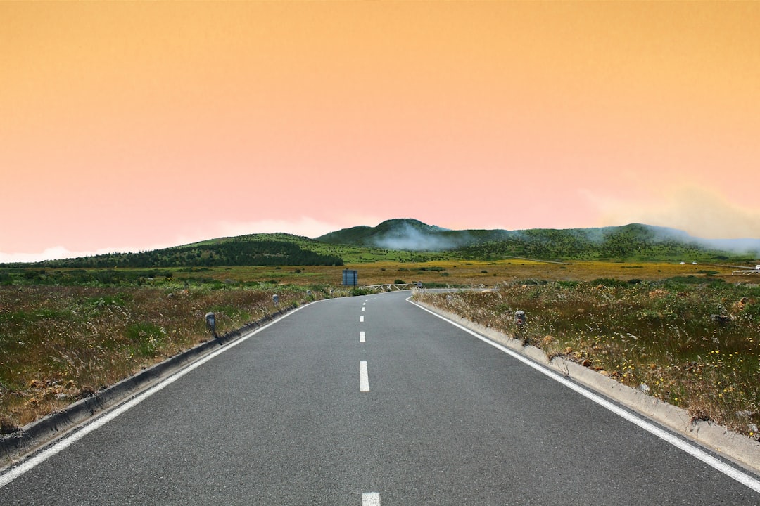 Roadmap Details and Milestones