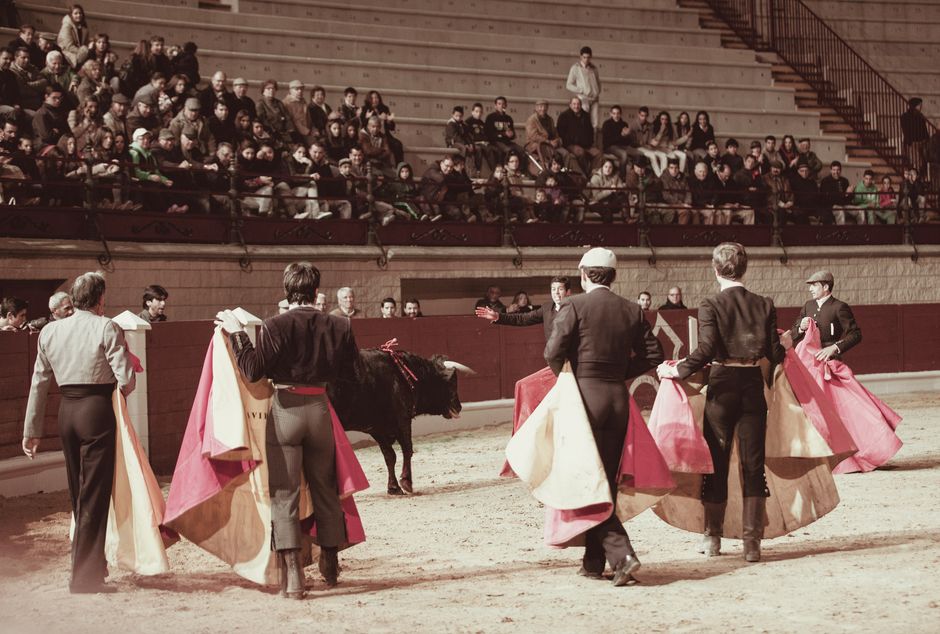 Matador Project and Strategic Ambitions