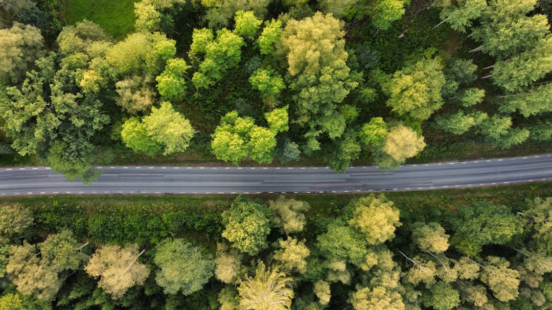Why a plan matters in today’s environment
