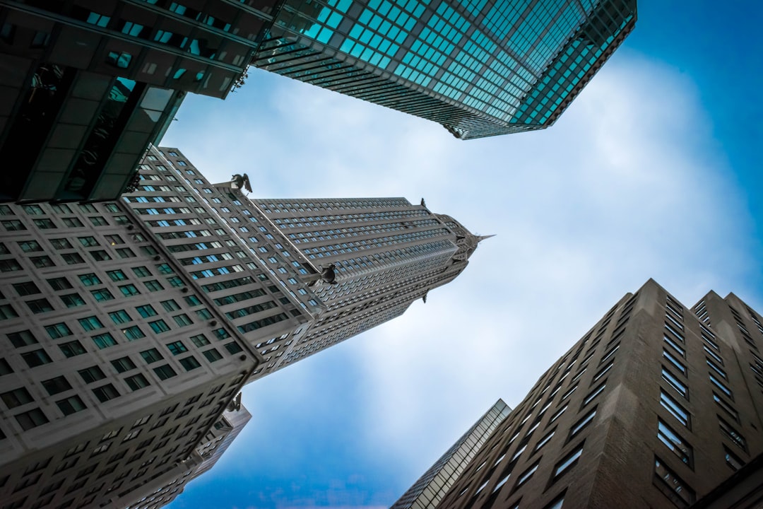 Risks and caveats every buyer should know