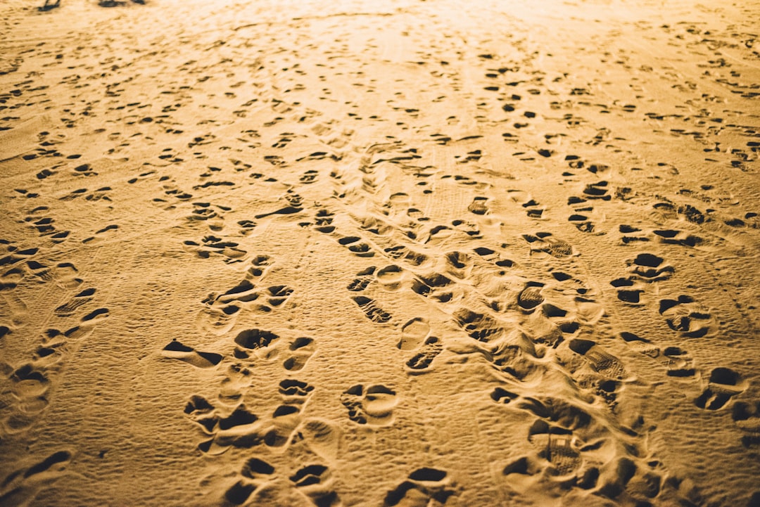Financial Footprint and Market Impact