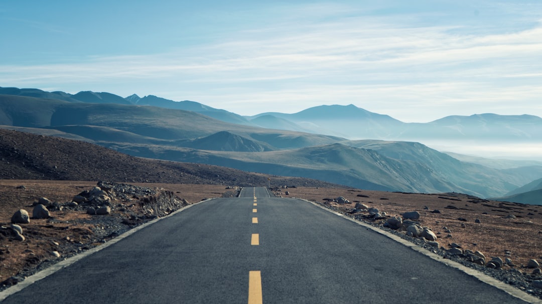 Official Response and the Road Ahead