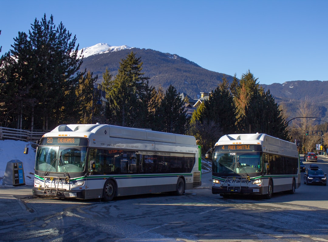 75-Year-Old Took Three Buses: Gift Card Scam Alert