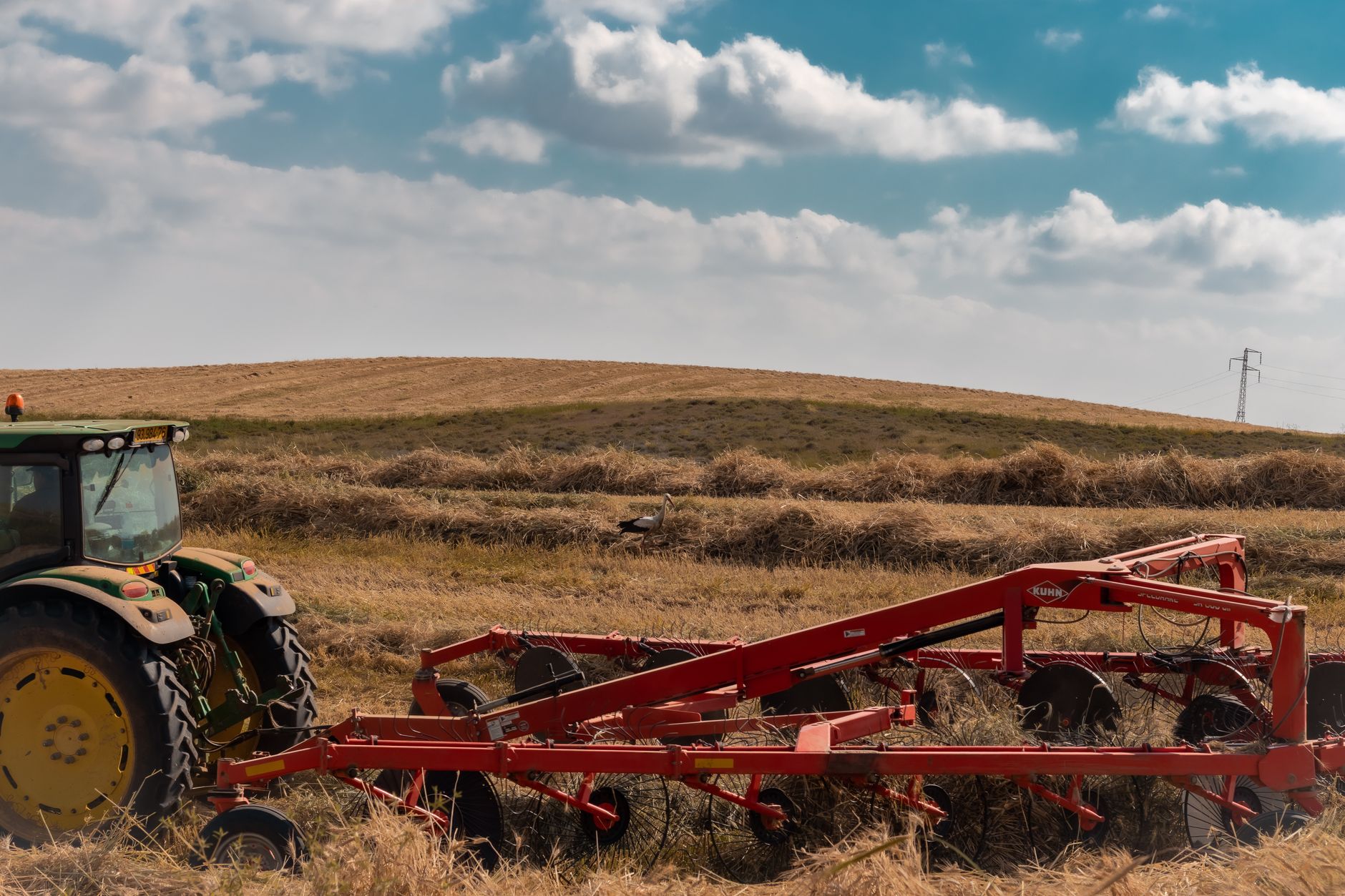 Academy Sports Tractor Supply: A Stock Showdown Today