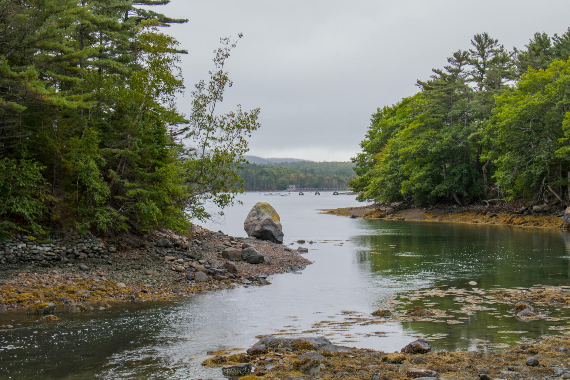 Acadia Healthcare Stock Down: Big Investor Sells Stake