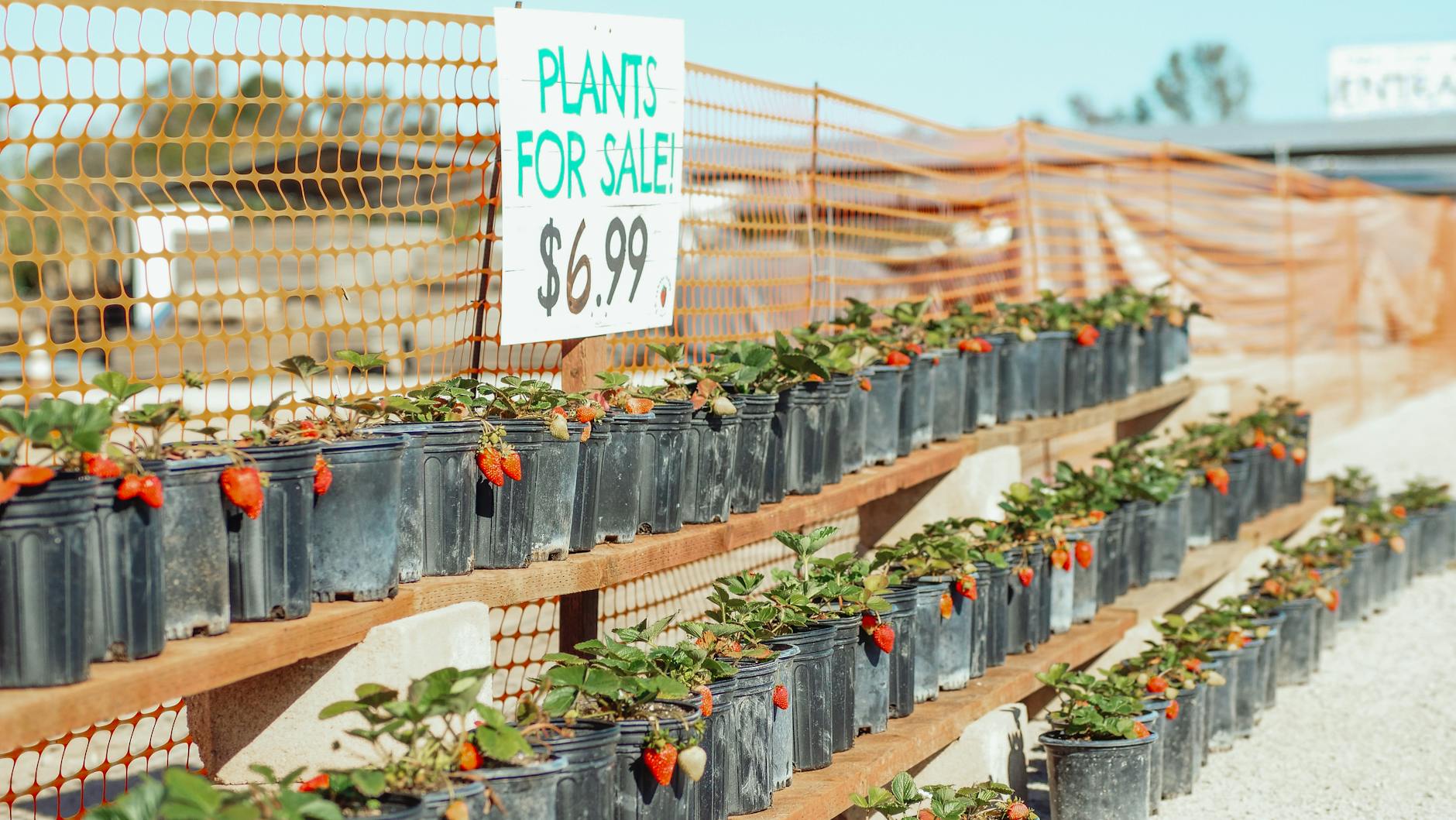 Agriculture Stock Draws Million: Long-Term Bets Should Know