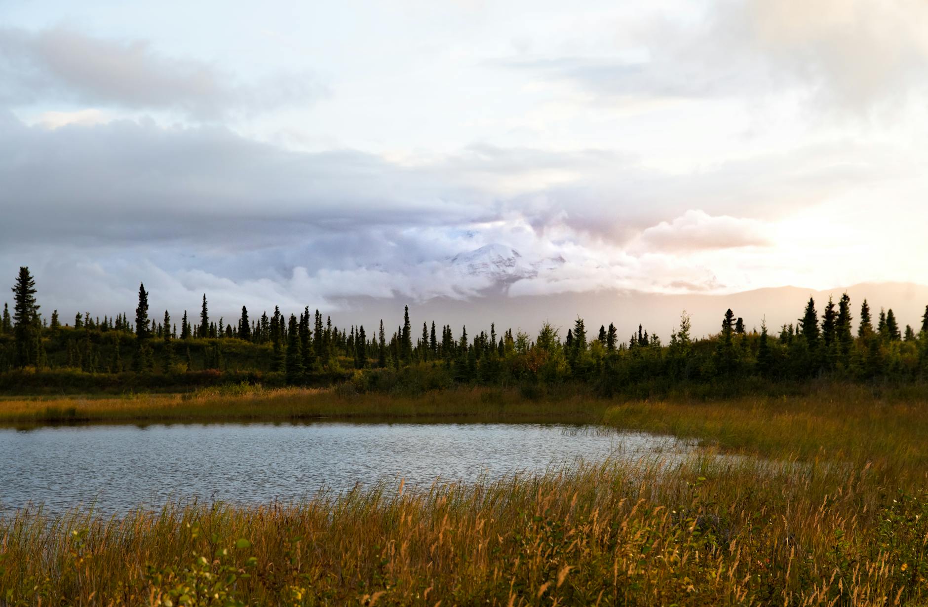 Alaska Group Sells 5500: Insider Trade and Hub Investment Spotlight