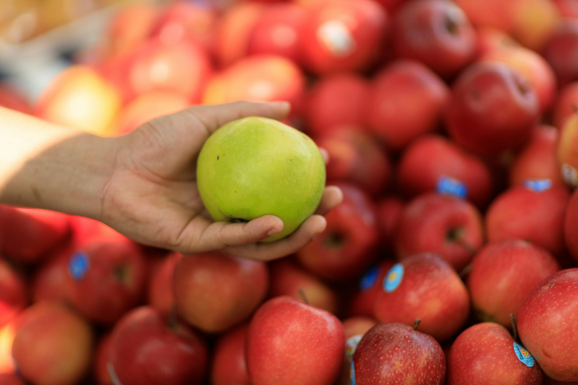 Apple Just Drop Hint: What It Signals About Growth Strategy