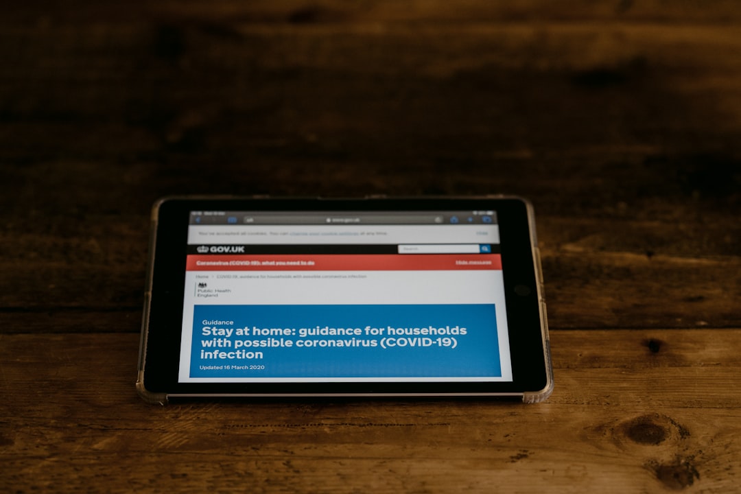 Are Digital Services Taxes Viable for the EU Budget?