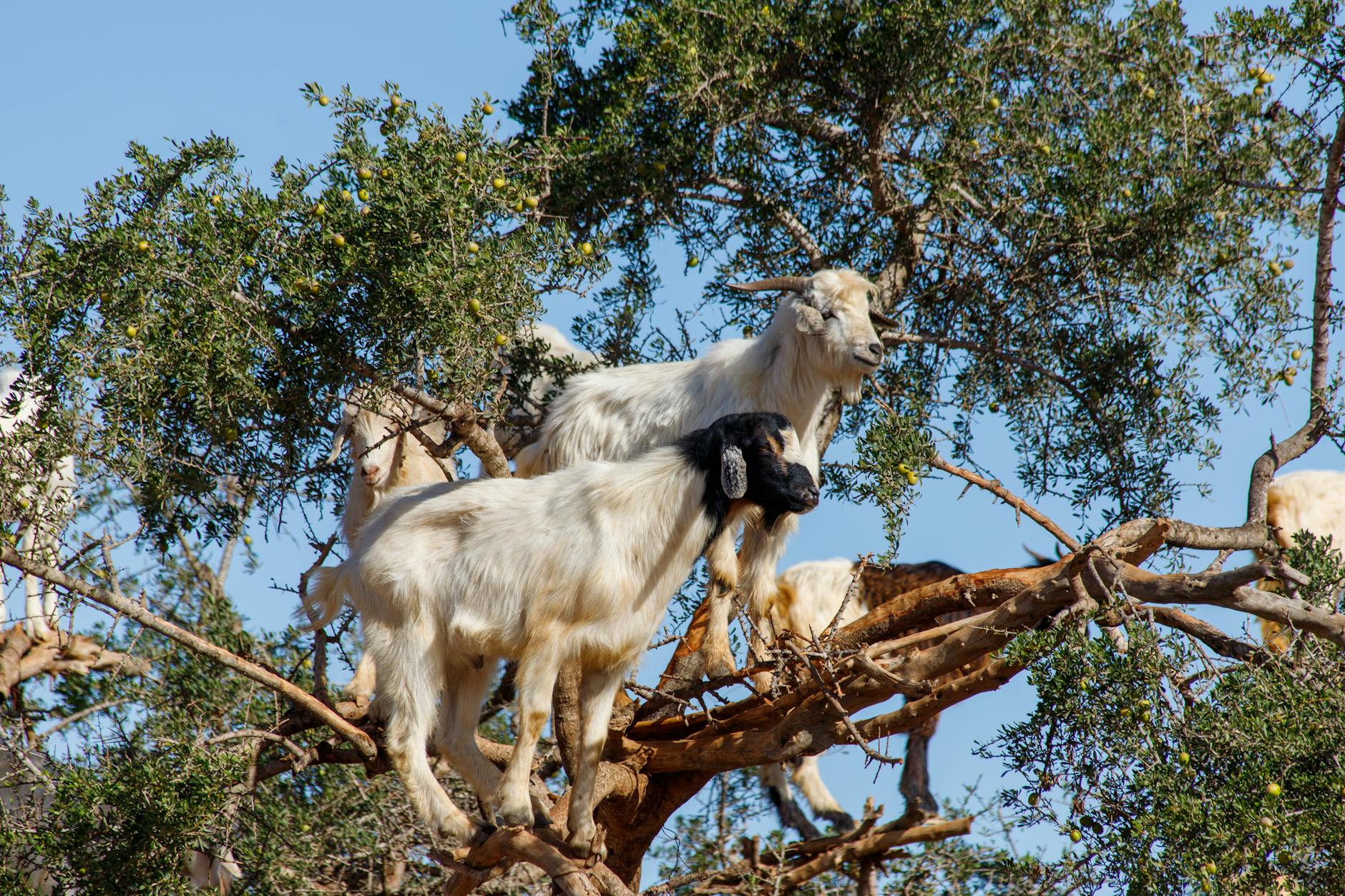 Argan Stock Ascended Today: What Sparked the Rally in AGX