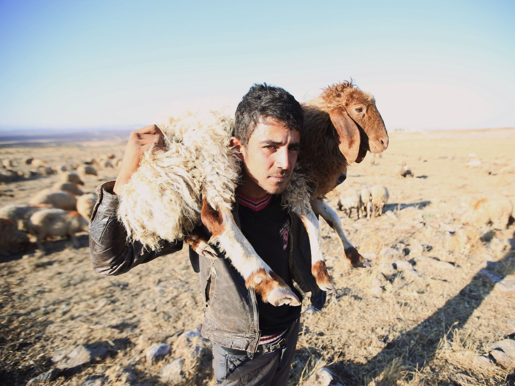 Argan Stock Rally Still Extends on AI Data Center Demand