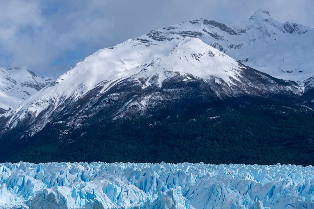 Argentina Launched Predict Future: Crypto Policy Fallout