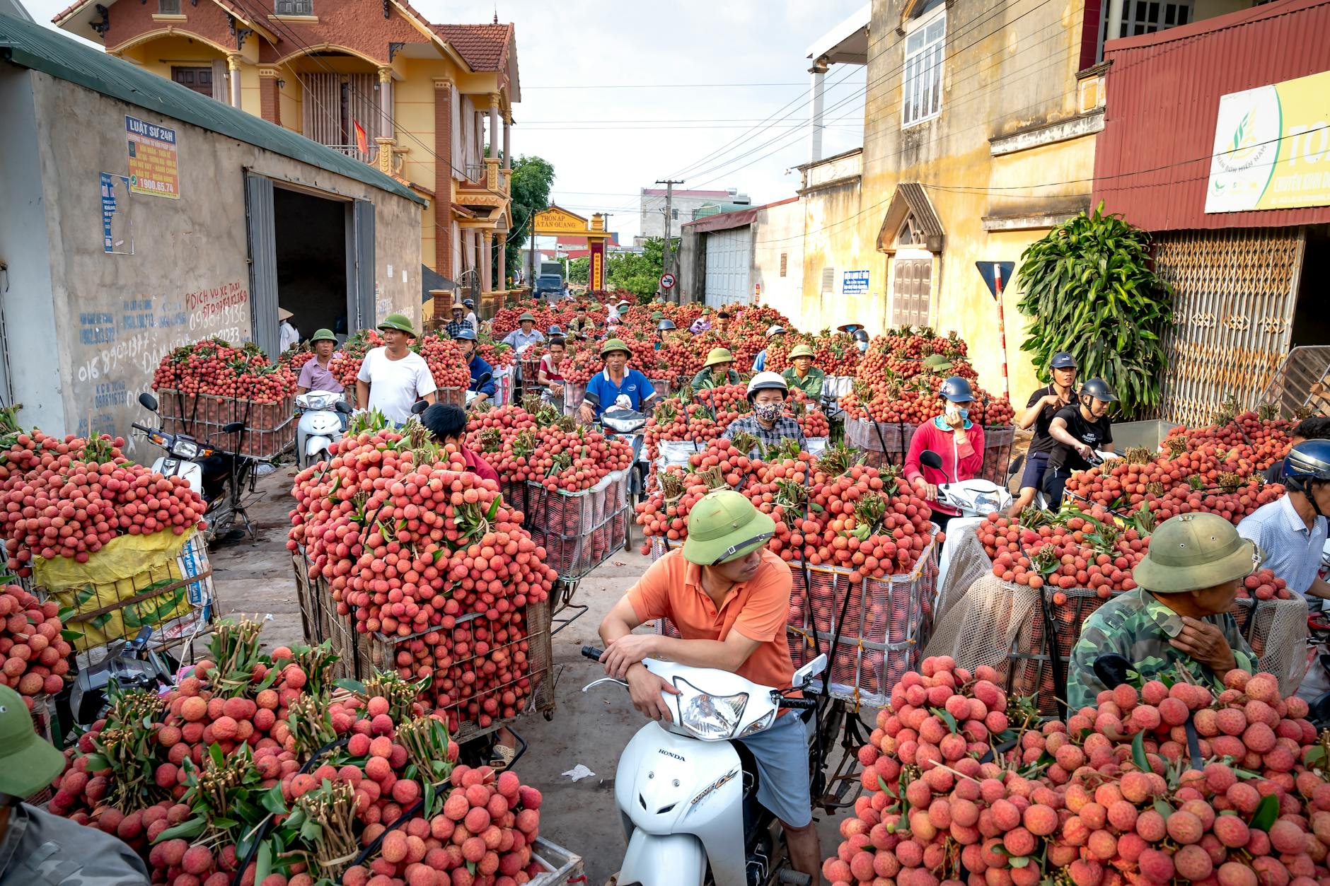 Around 1,200% Past Year: How High Can Sandisk Stock Go?