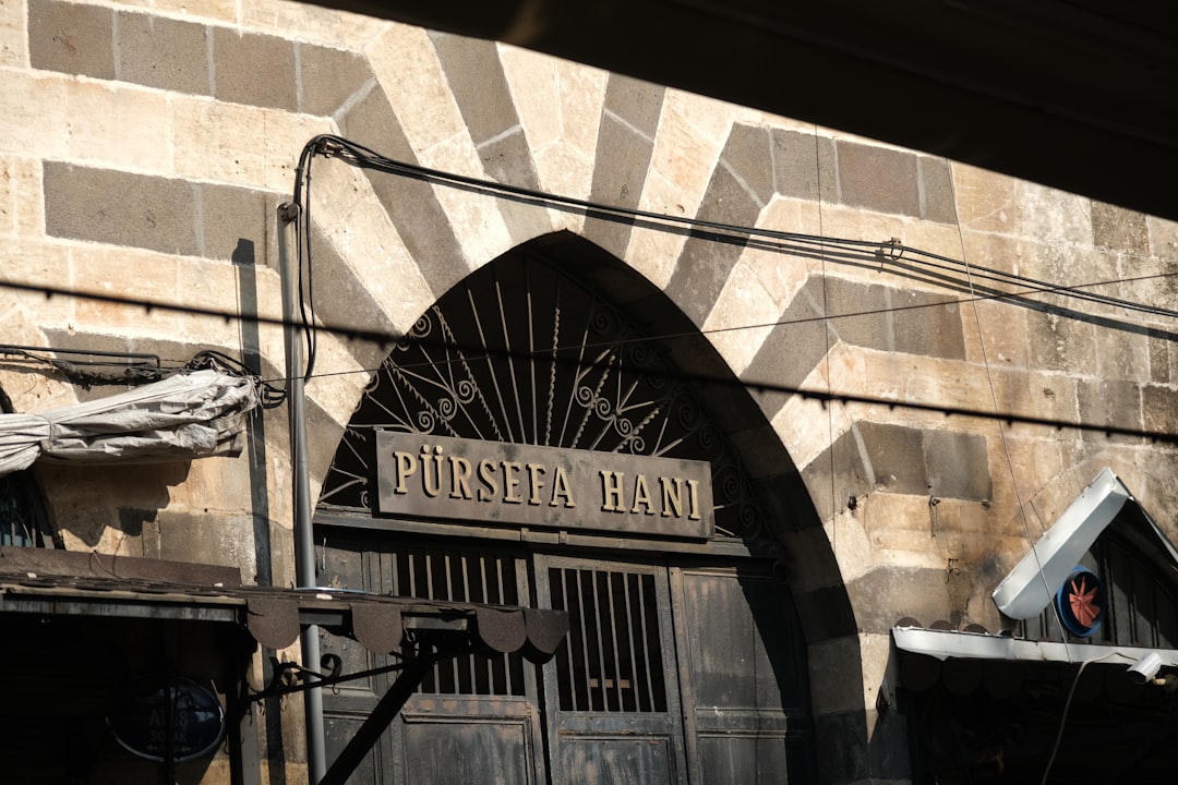 Assertio (ASRT) 2025 Earnings: What Investors Watch