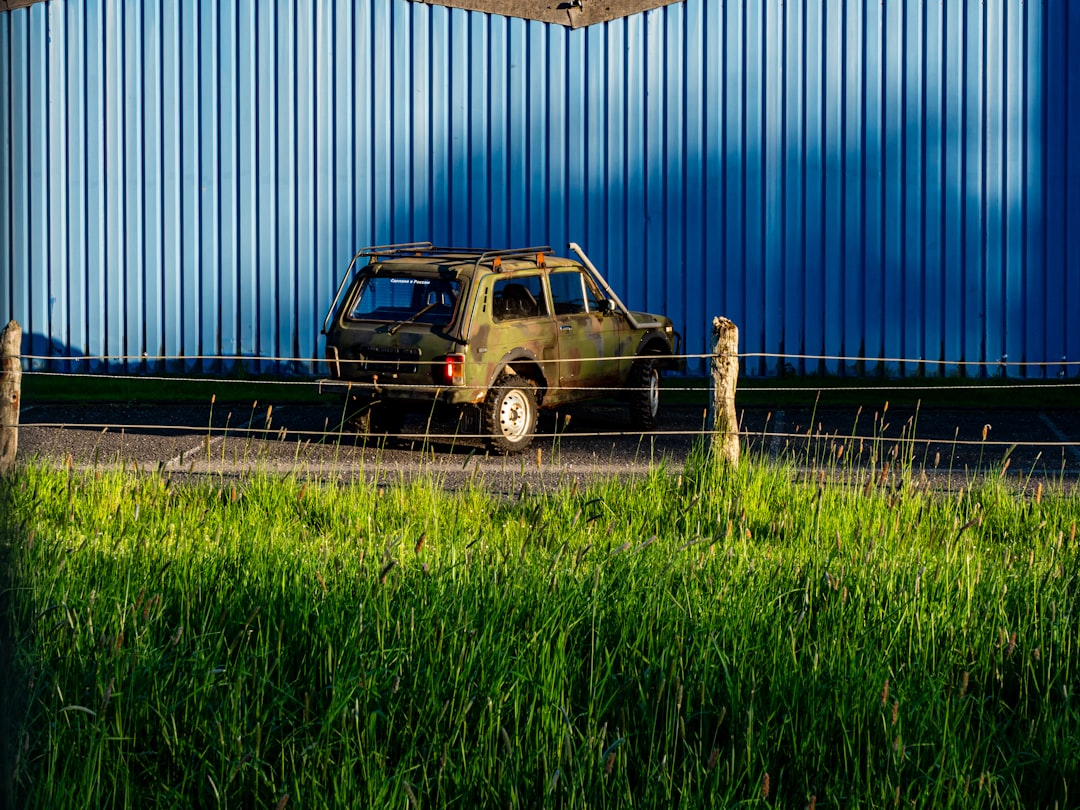 AutoZone Fell Short Wall Street: Should You Buy the Dip?