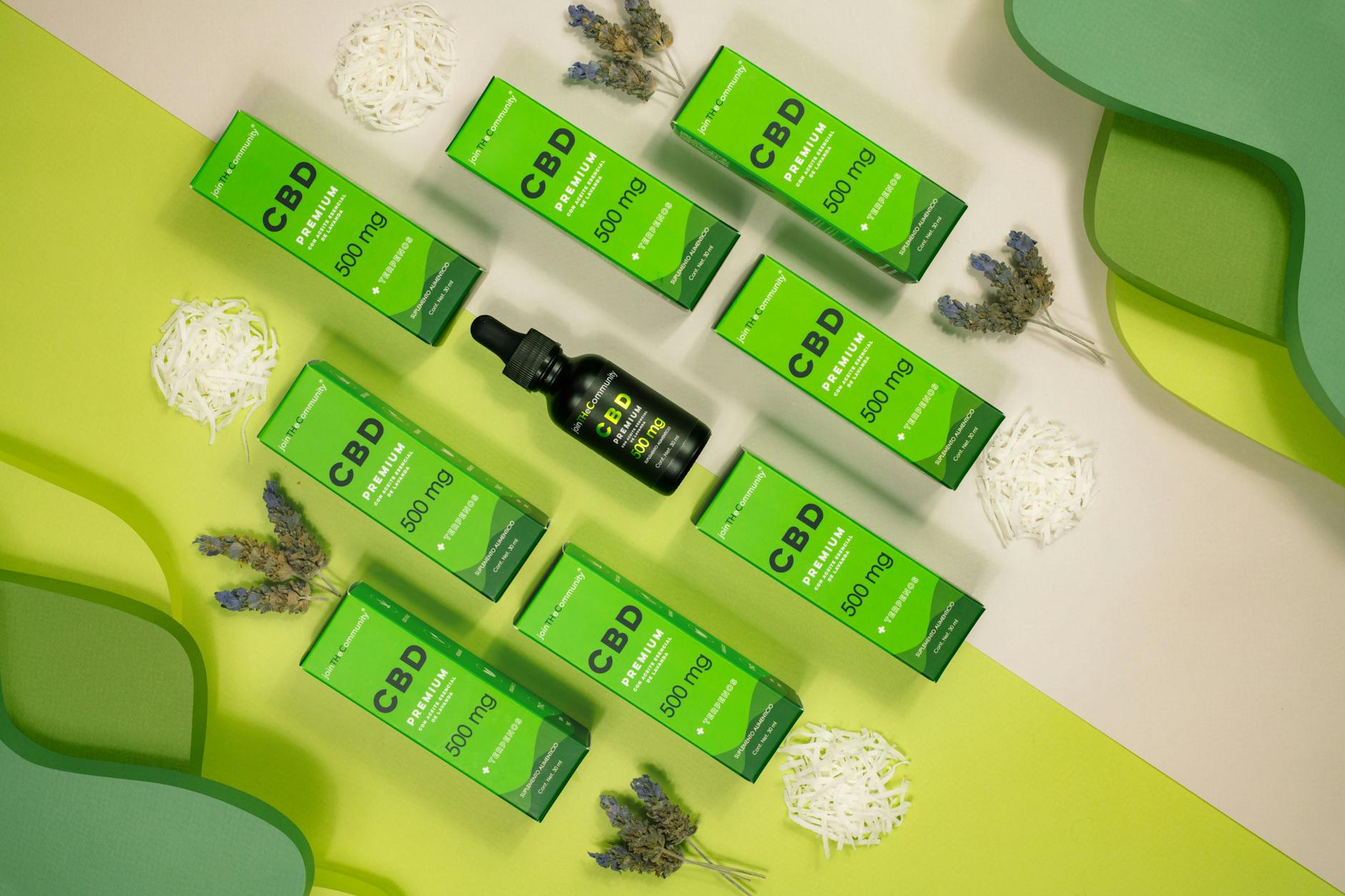 Axogen (AXGN) 2025 Earnings: Key Takeaways for Investors