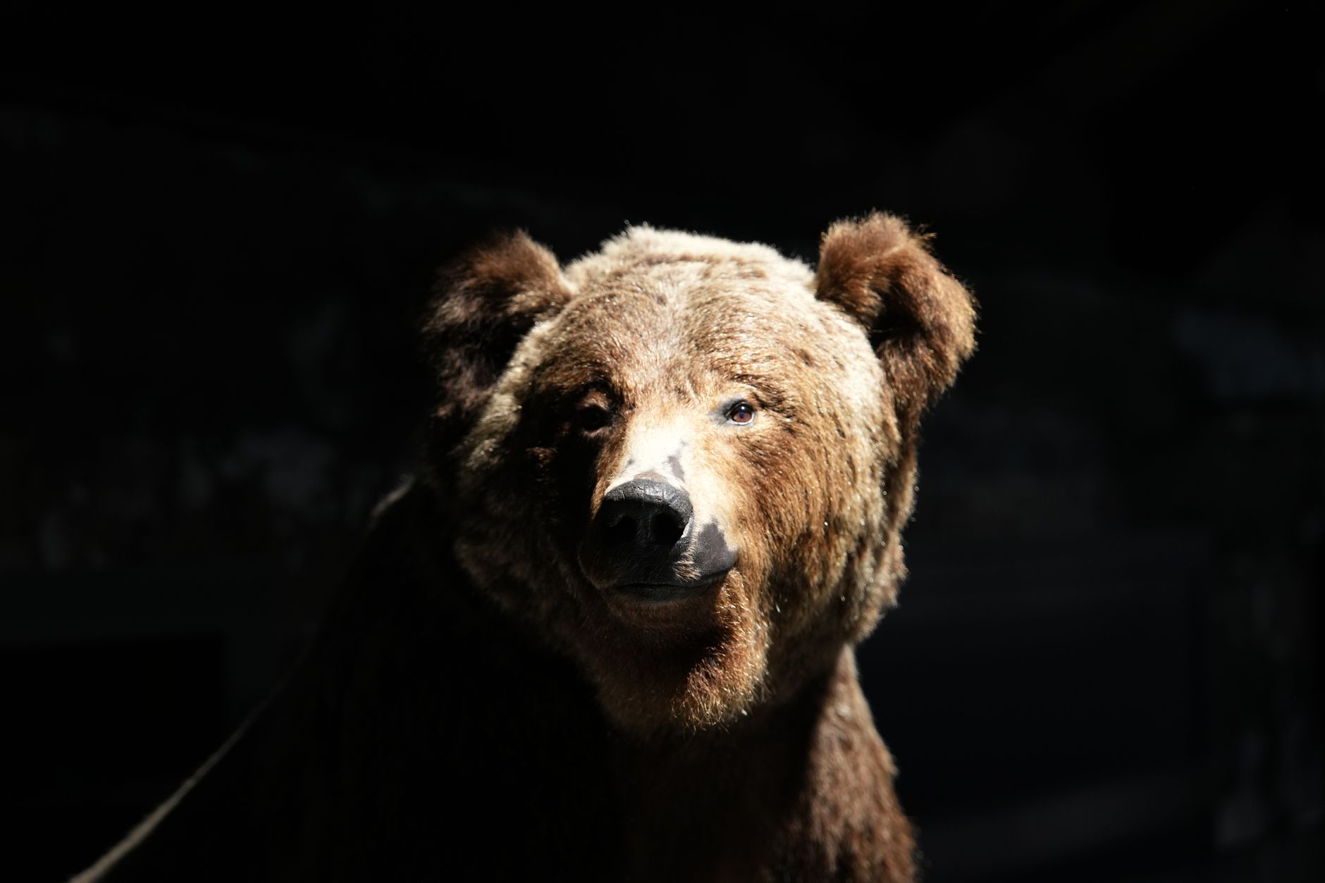 Bear Market Coming? History Says Smart Investors Do This Now