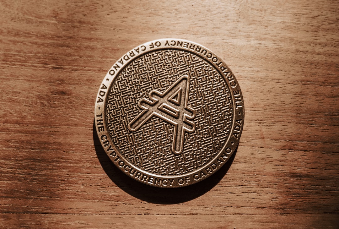 Best Altcoins for Long-term Investment: A Practical Guide