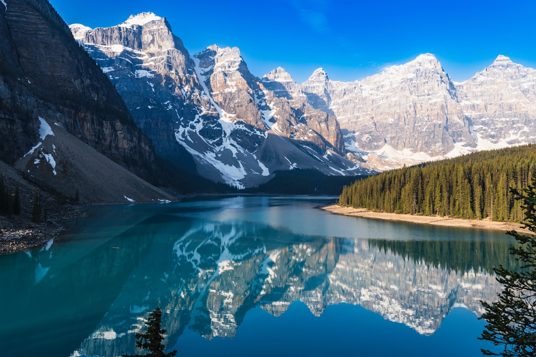Best Trading Platforms in Canada for 2026: Top Picks