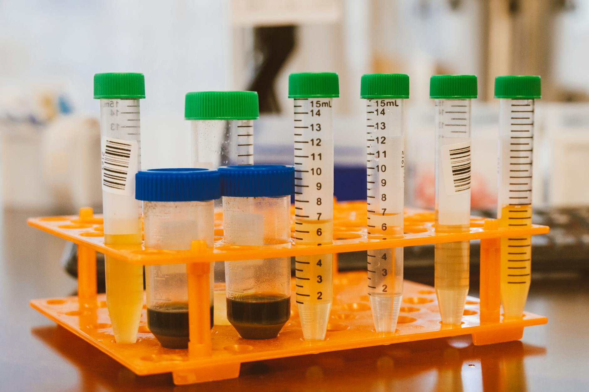 Biotech Stocks Rally Hantavirus: Is the Move Overdone?