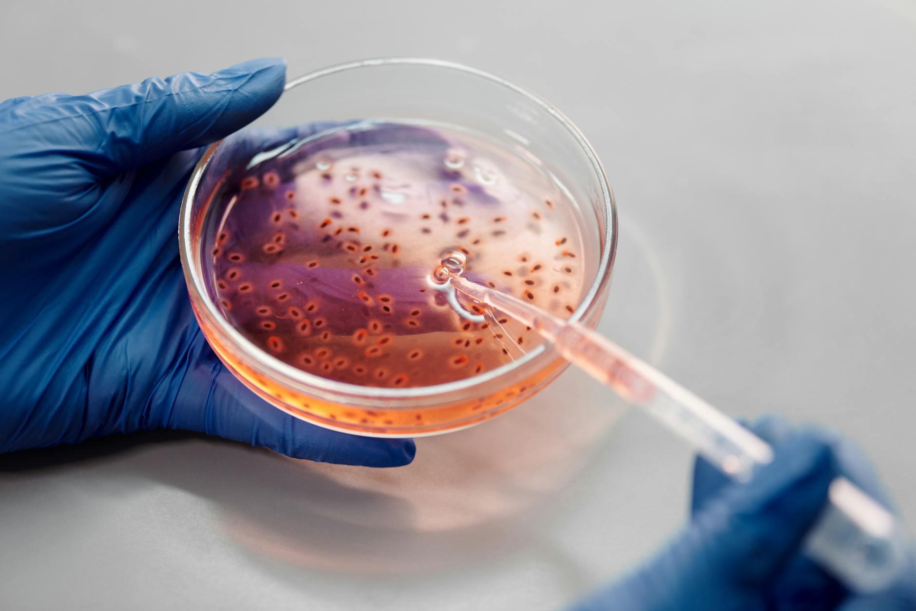 Biotechnology's Chairman Board Sold: What Investors Know
