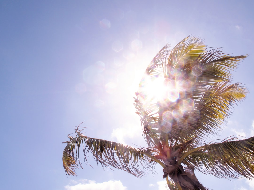 Bitcoin Could Fresh Summer Highs If $73K Holds This Week