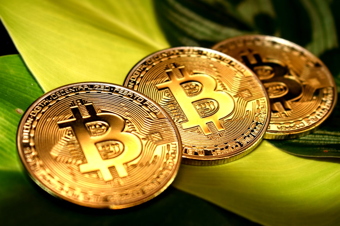 Bitcoin ETFs Draw Investment: Market Bounces Back Strongly
