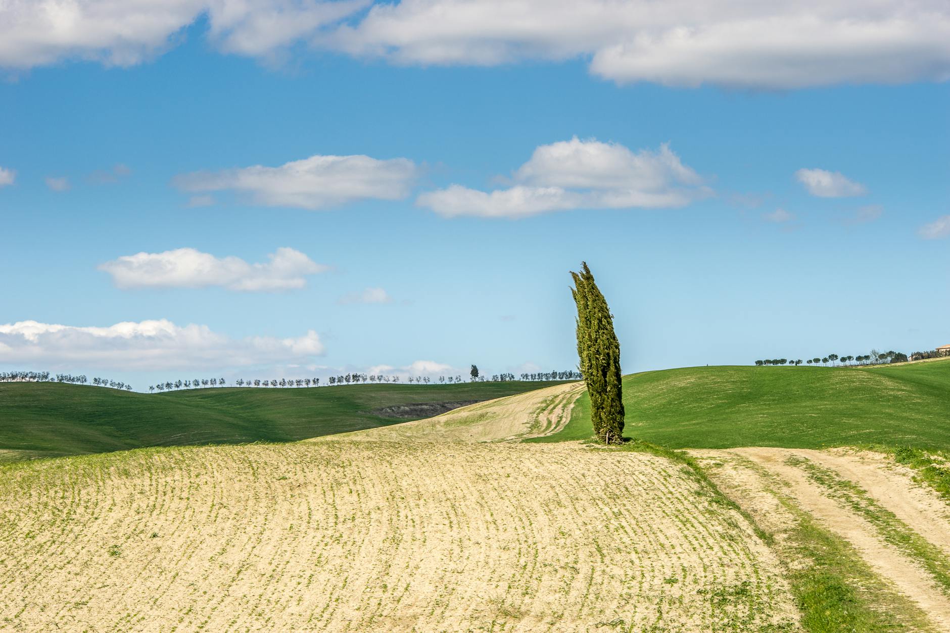 Black Cypress Doubles Down on Floor & Decor Investment