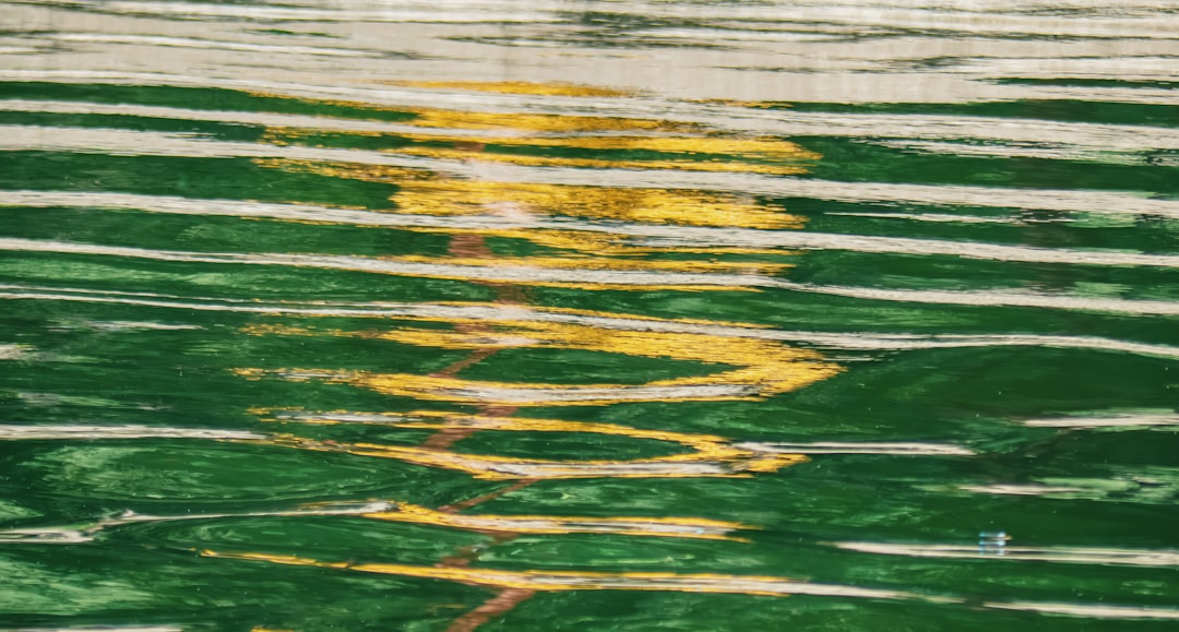 Brand Green Flag (Ripple): XRP’s 2026 Investment Signal