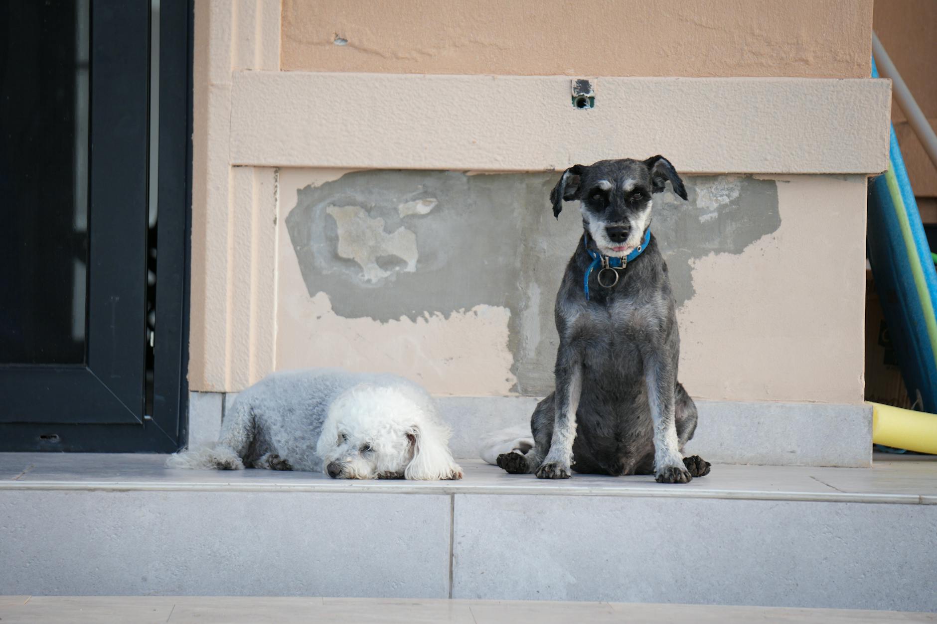 Buffett Steps Down Berkshire: Trio of Stocks Dominate