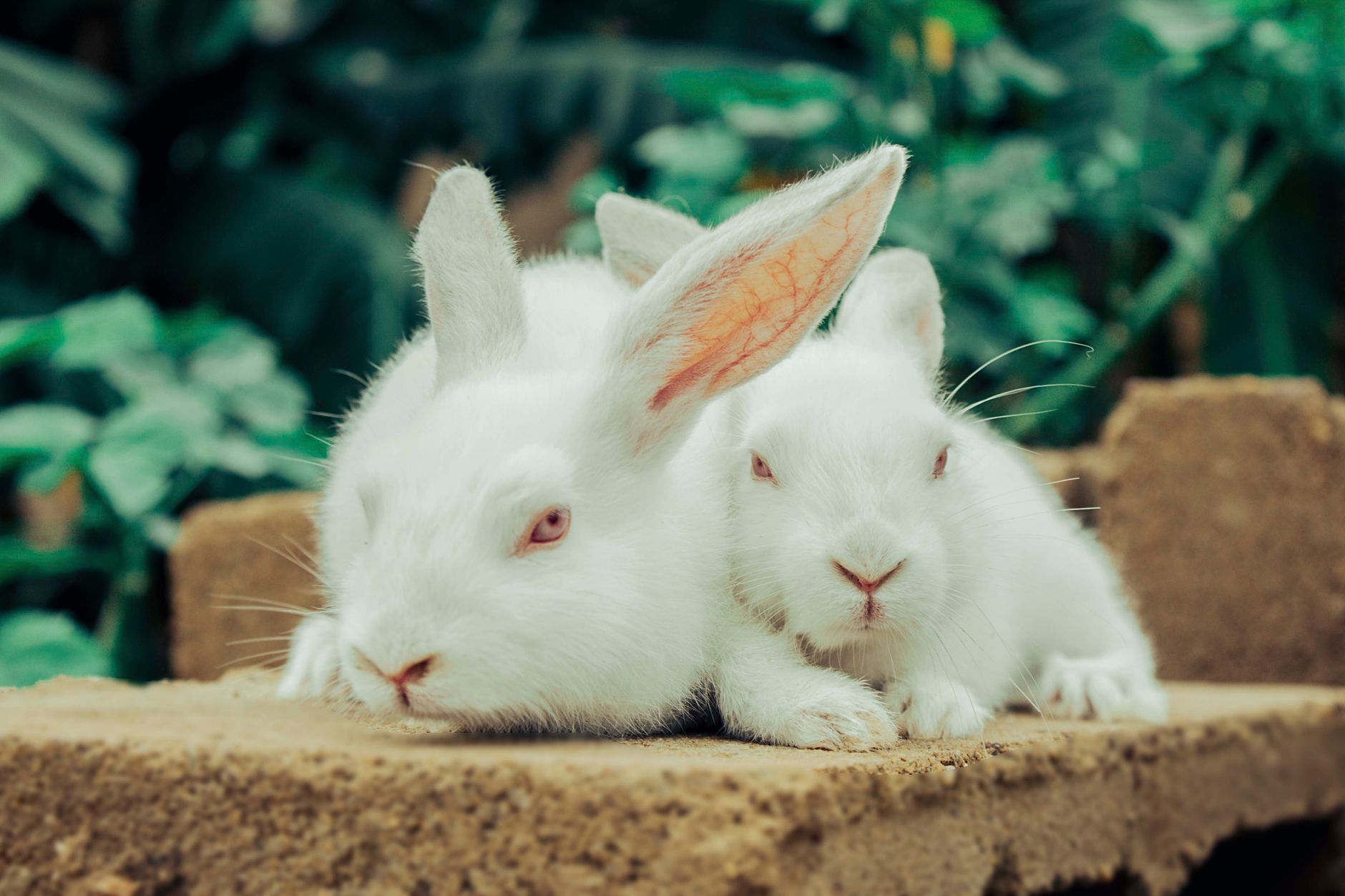 Bunnie Spotted Kissing 24-Year-Old: Finances, Fame, and Folly