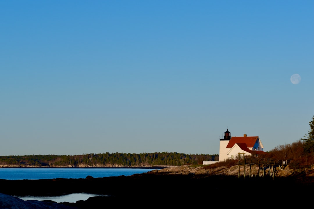 Cal-Maine’s Boom Fading Reddit Bets Signal a Sector Shift