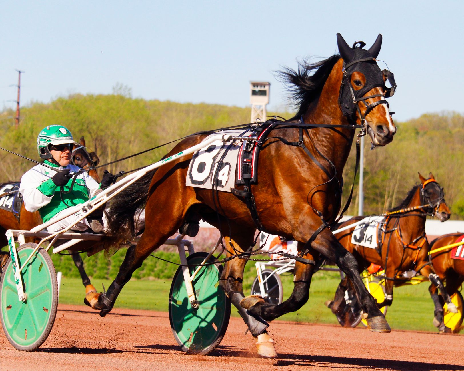 Calumet Stock Major Winner: How the Rally Unfolded