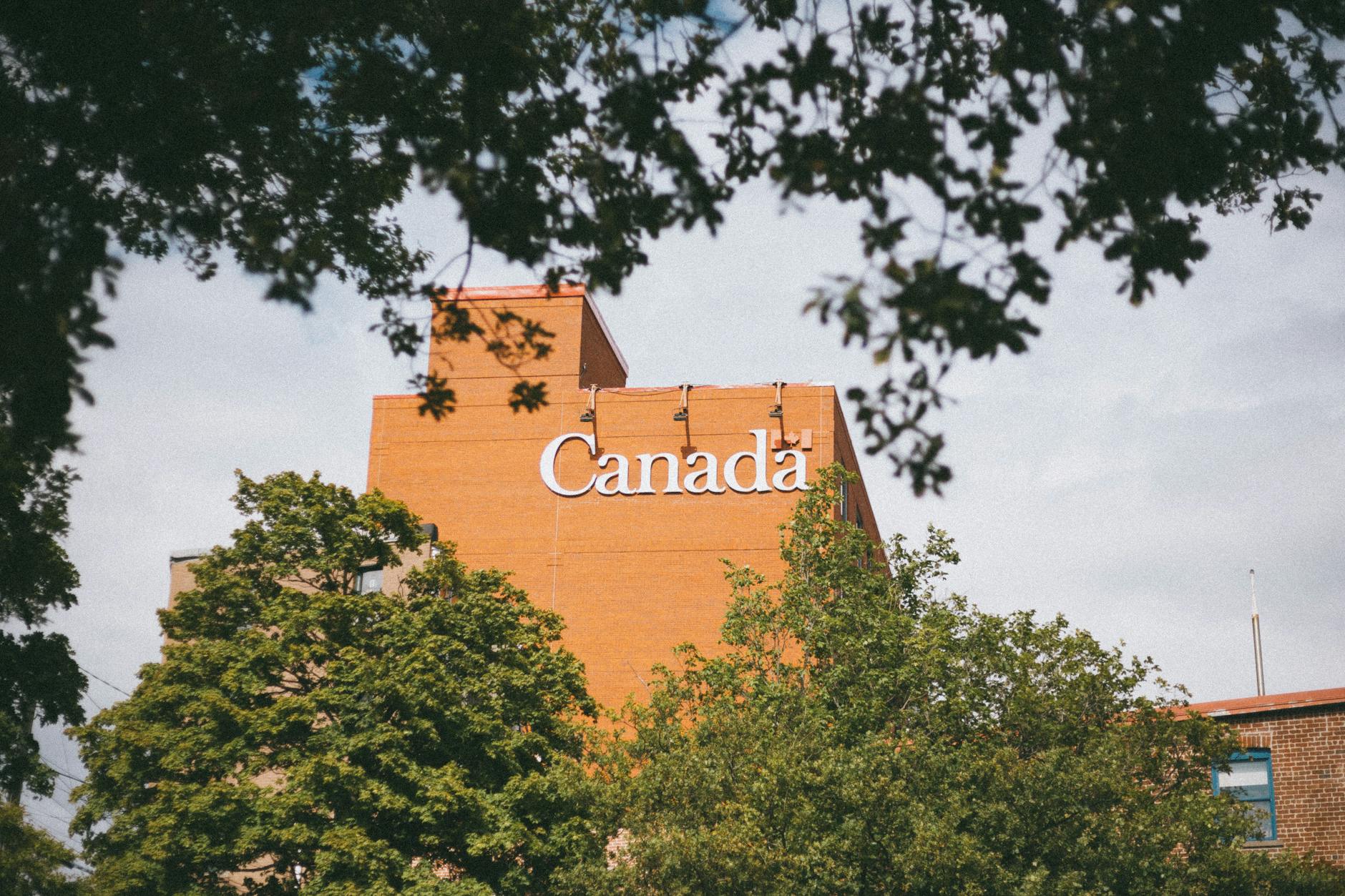 Canaccord Raises C3.ai Price Target as Siebel Becomes CEO