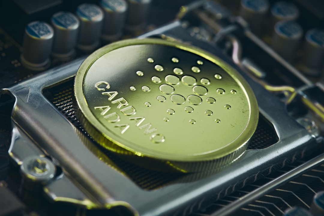 Cardano’s Meltdown: Risk Further in Bear Market Ahead