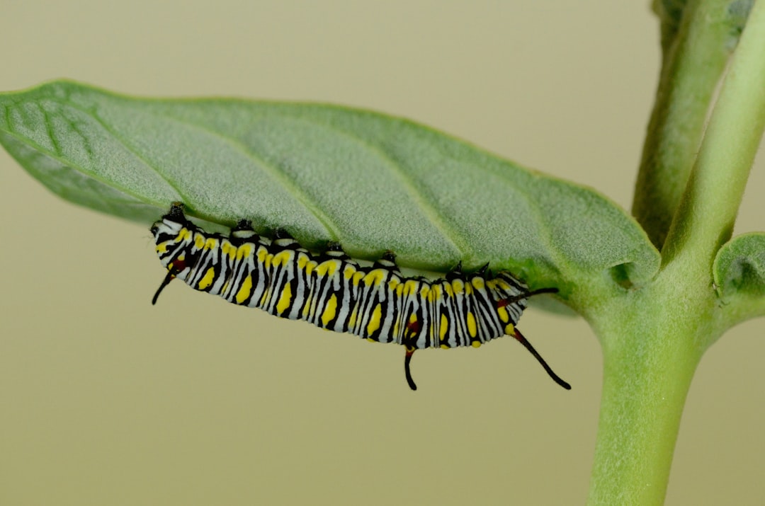 Caterpillar Buy, Sell, Hold: Is CAT Stock Overreacting?