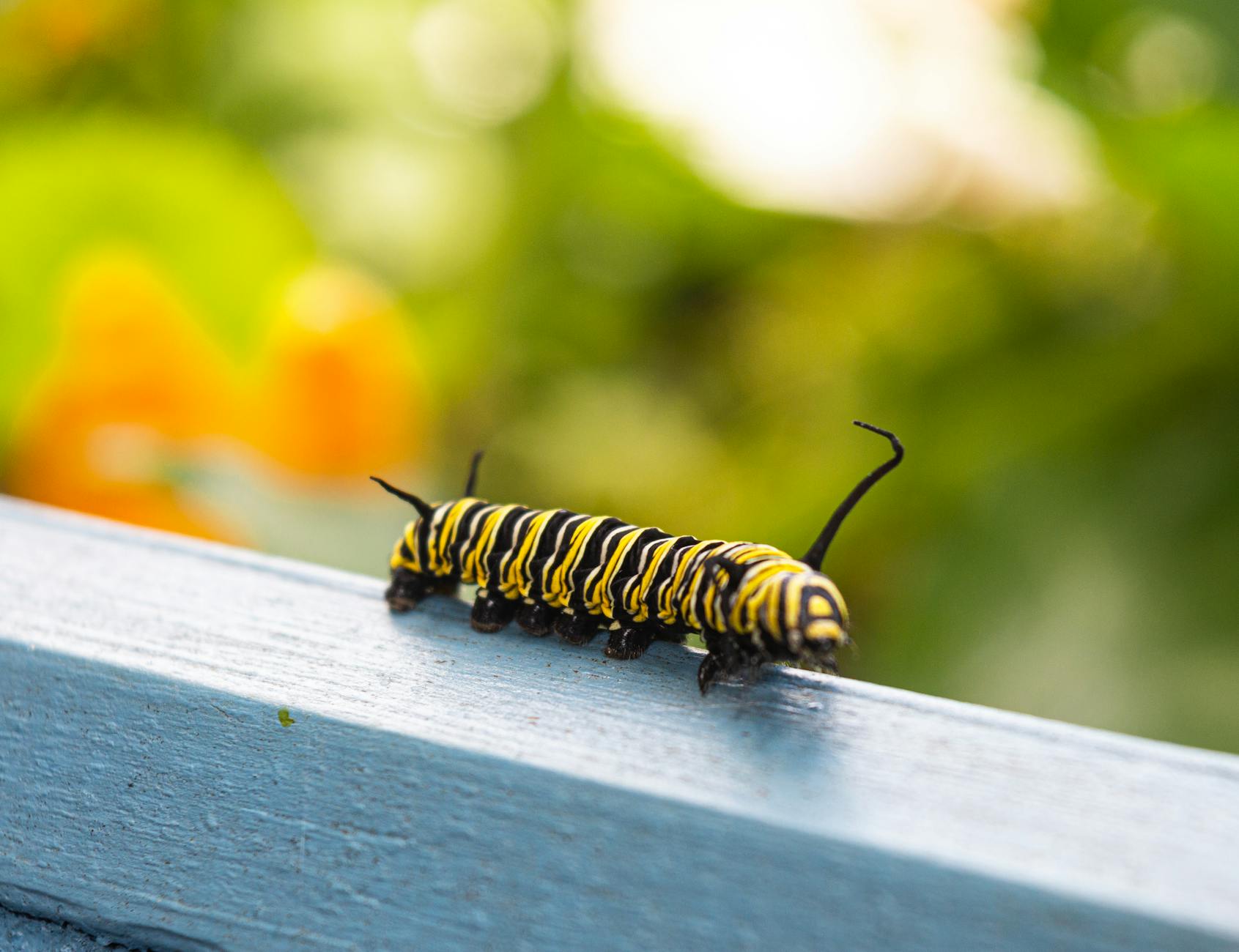 Caterpillar Could Stock Year: AI Infrastructure Opportunity