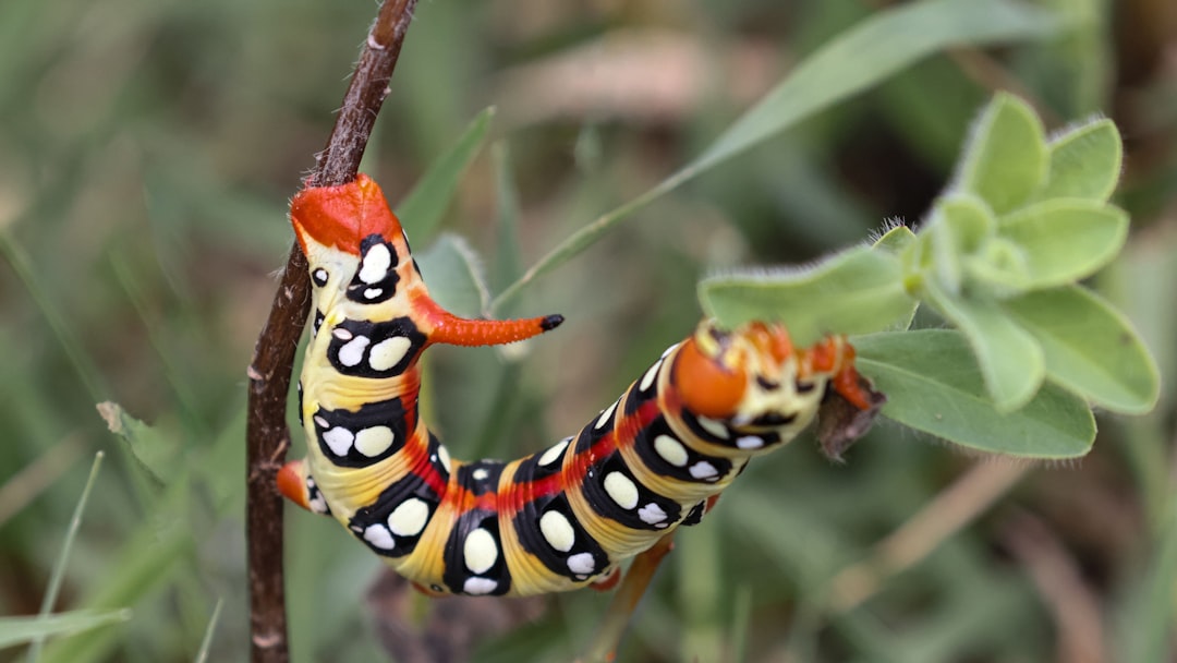 Caterpillar Stock Nearing 52-Week High: Buy, Hold?