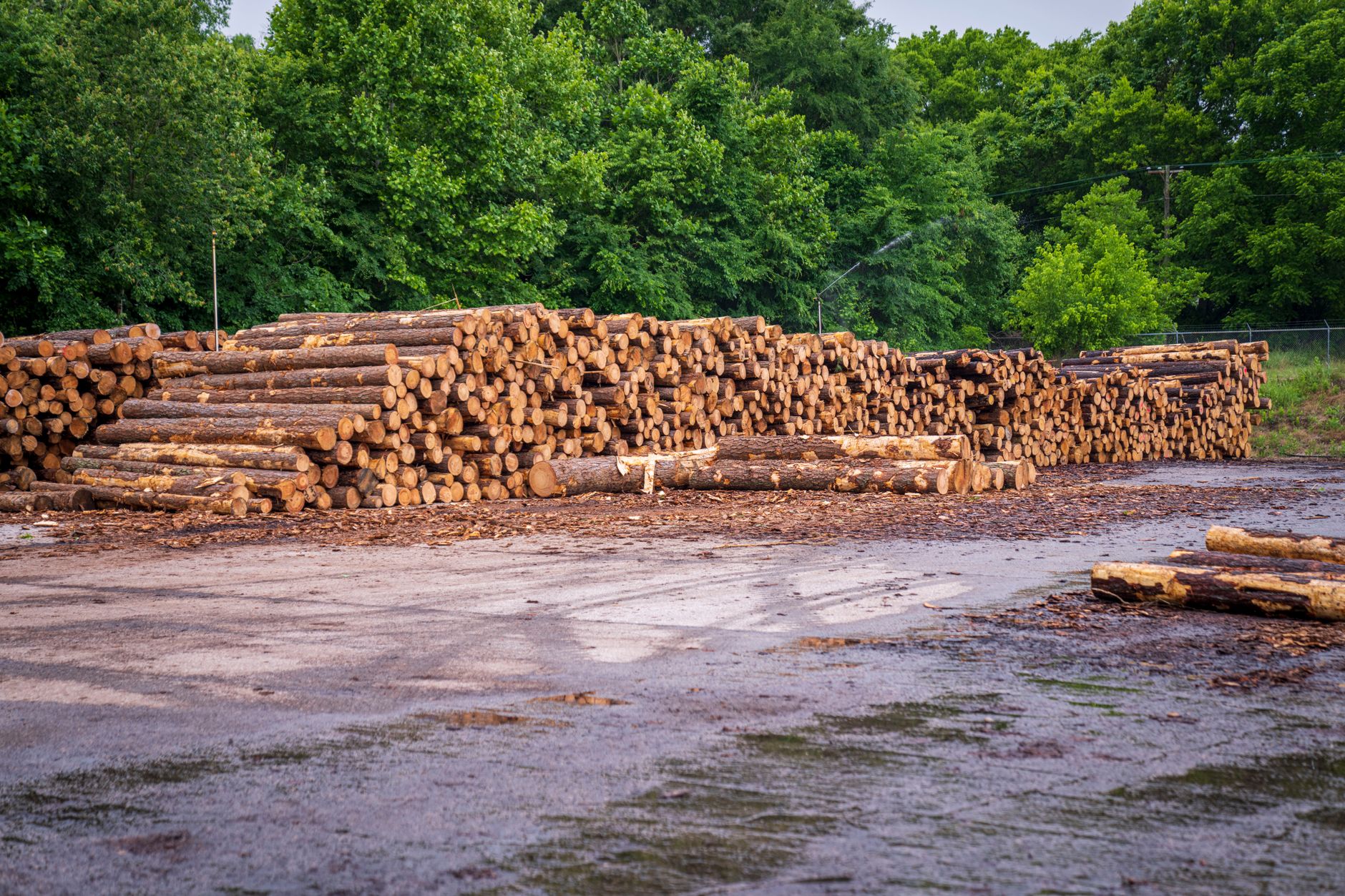Cathie Wood Buys Million: What It Means for Investors Today