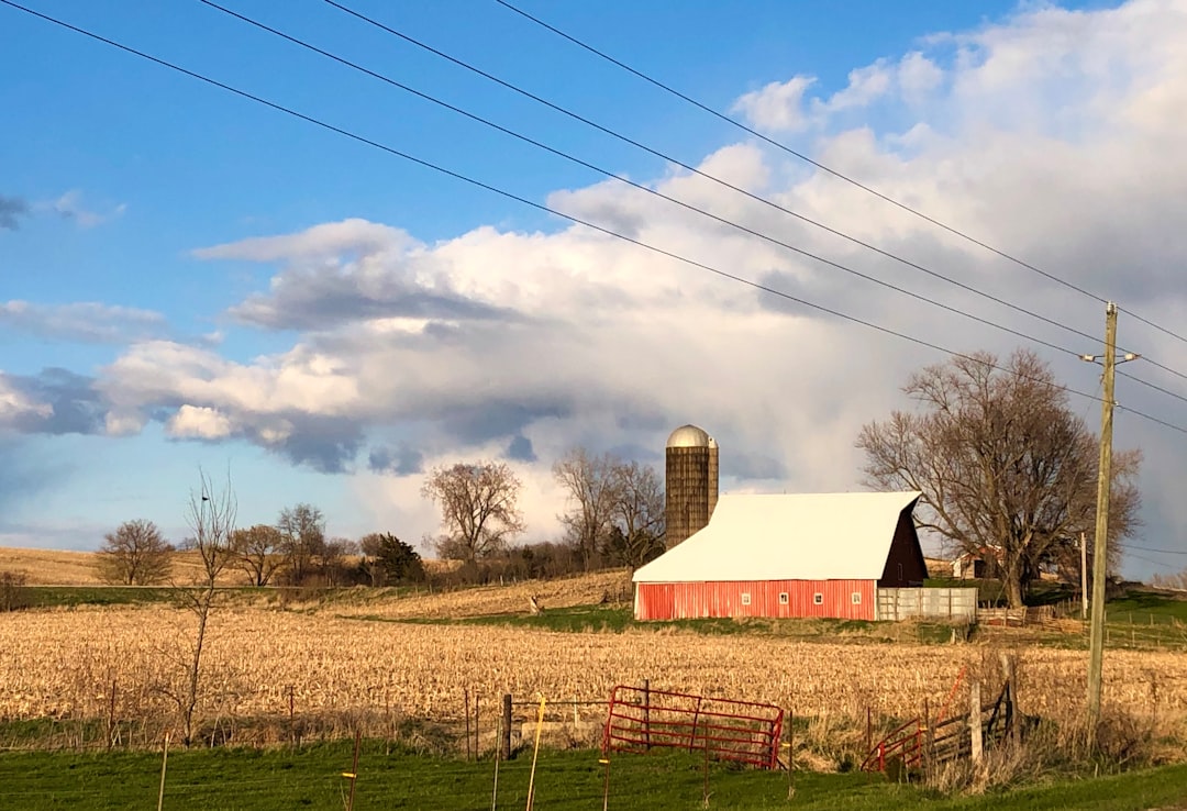 Century-Old Iowa Farm Beats Trump Pick in Primary