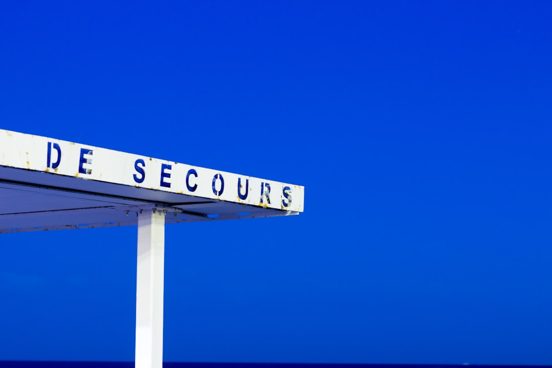 Check Your Social Security: A Practical Statement Guide