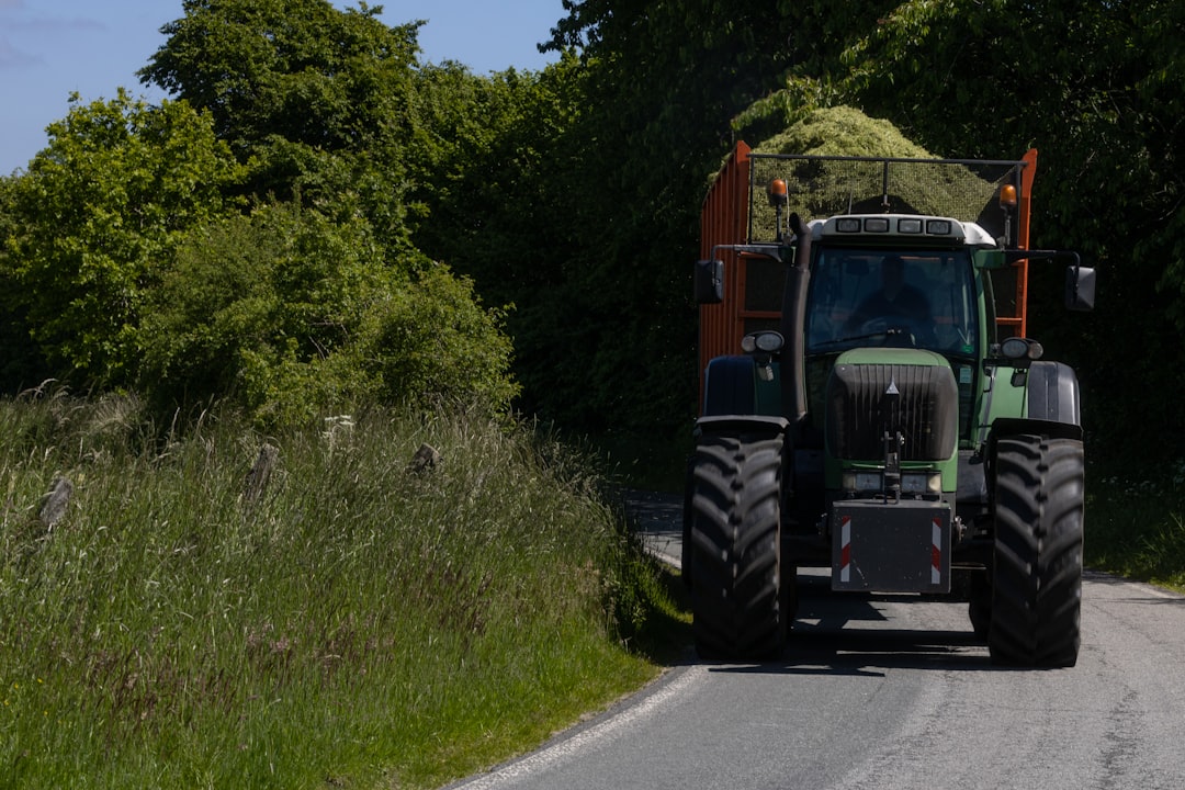 Chewy Tractor Supply: Which Stock Is a Better Buy in 2026?