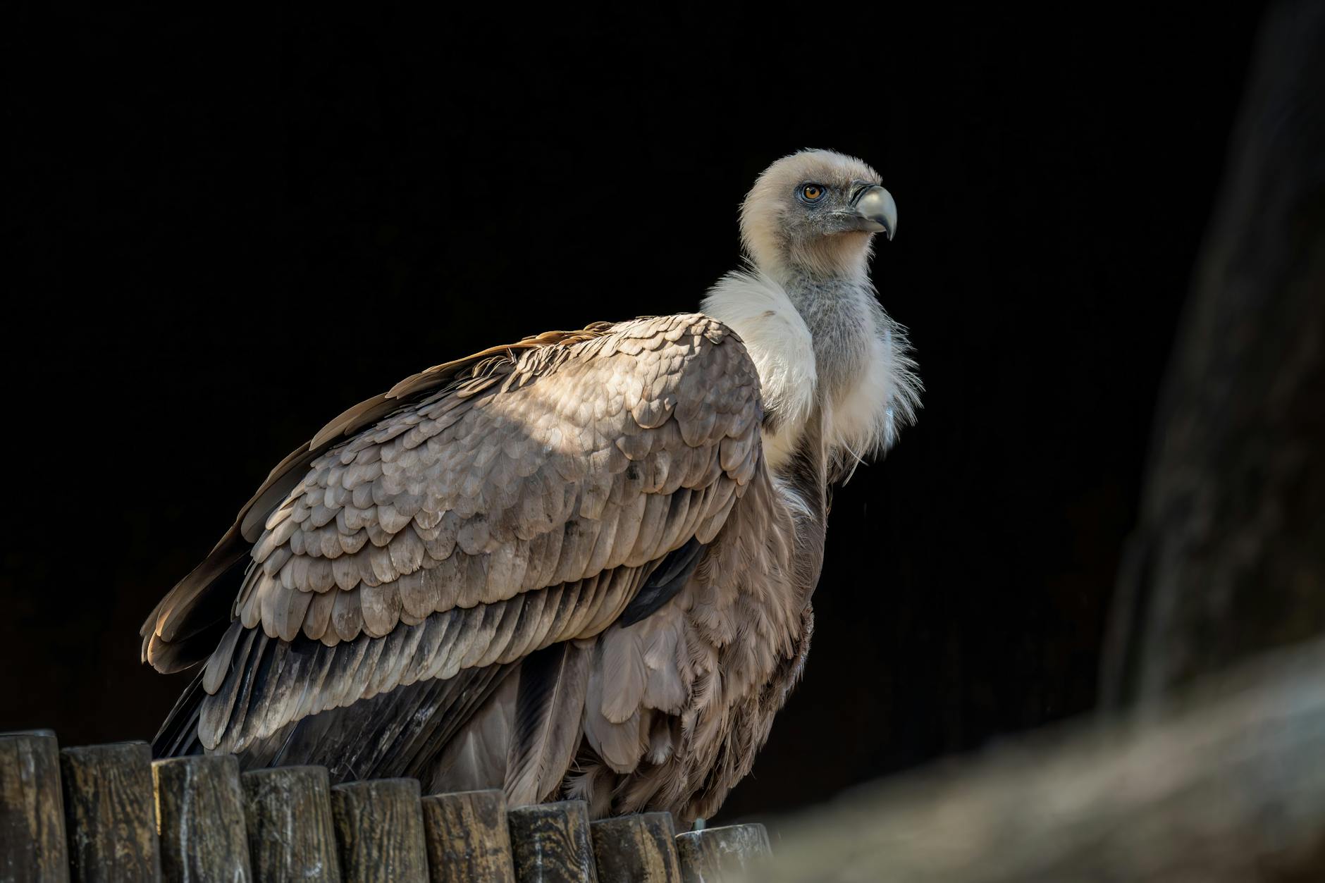 Citadel's Griffin Just Said the Quiet Part Out Loud About Inflation