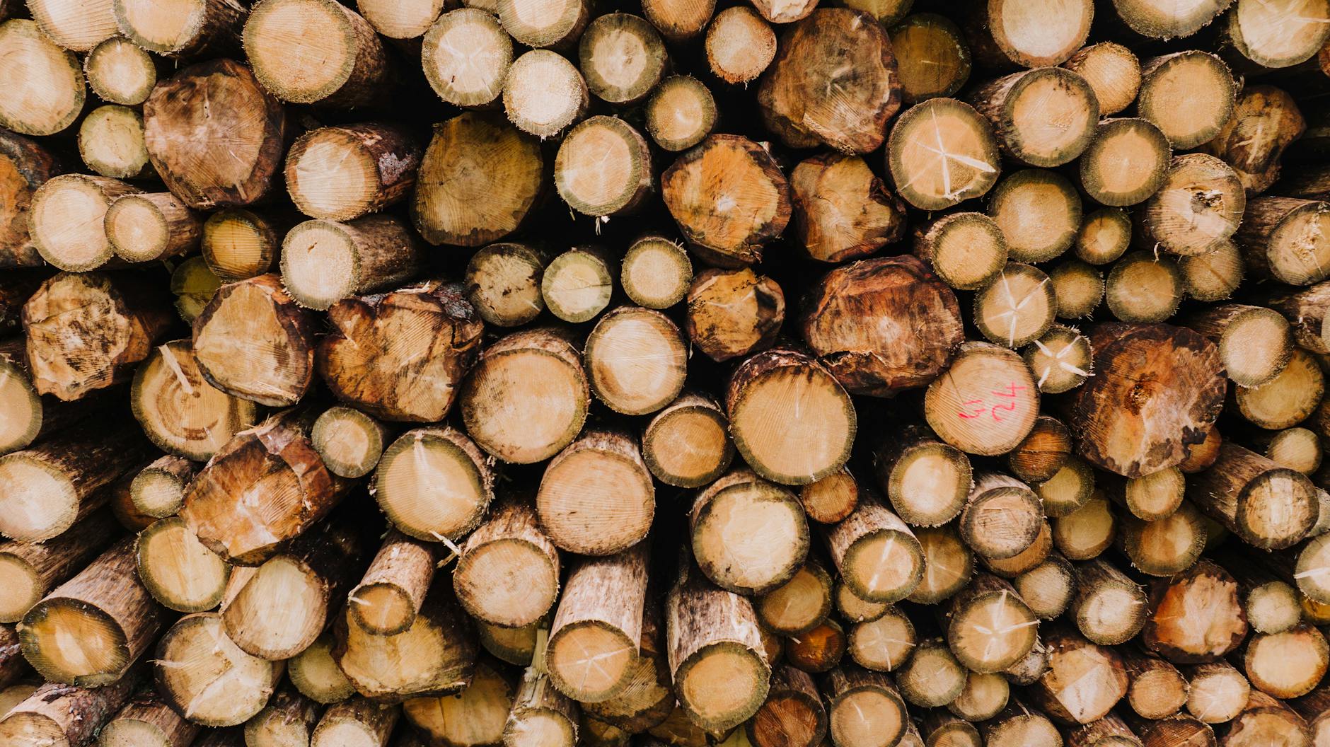 Core Natural Resources Stock Signals a Market Turn