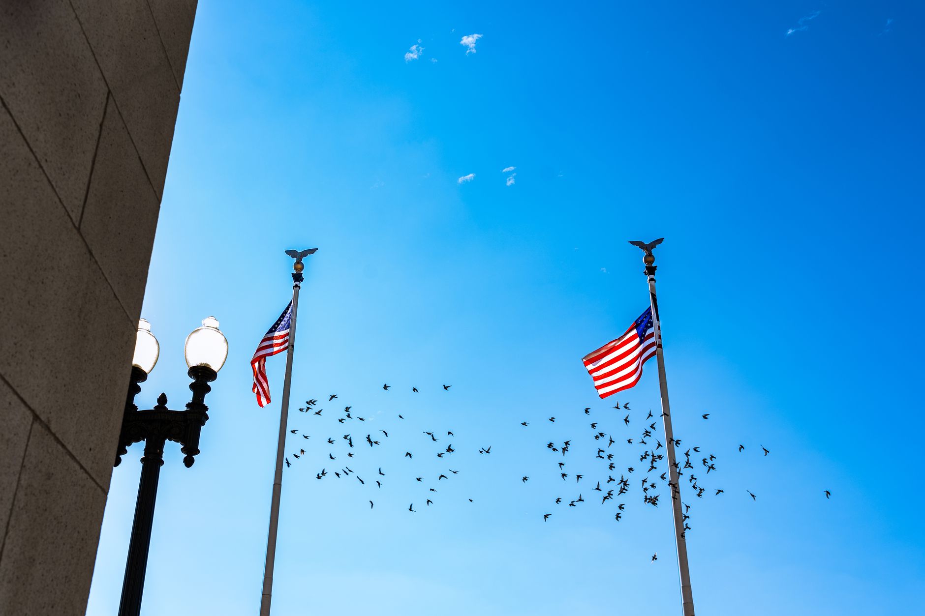 CrowdStrike Beat Earnings, Raised Guidance: Split Fallout